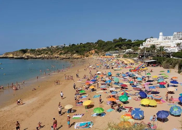 Lotus 2, * 알부페이라